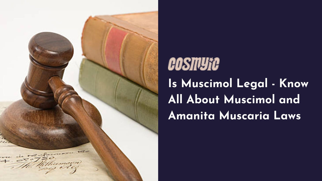 Is Muscimol Legal - Learn All About Muscimol and Amanita Muscaria Laws