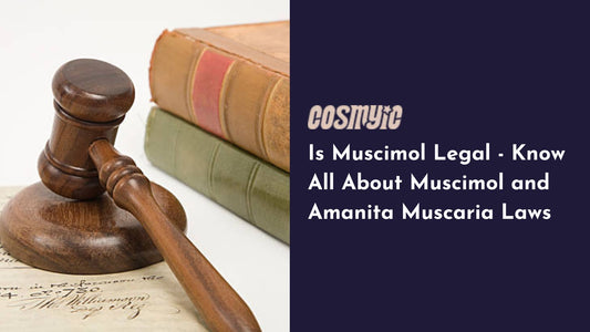 Is Muscimol Legal - Learn All About Muscimol and Amanita Muscaria Laws