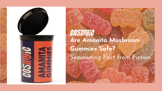 are amanita mushroom gummies safe