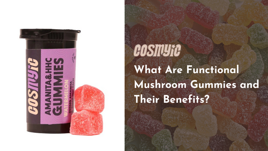 functional mushroom gummies